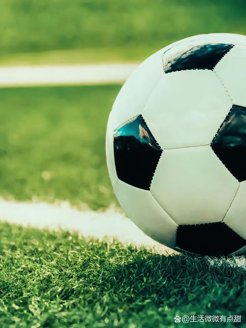 体育爱好者使用体球网比分即时比分新版观看赛事