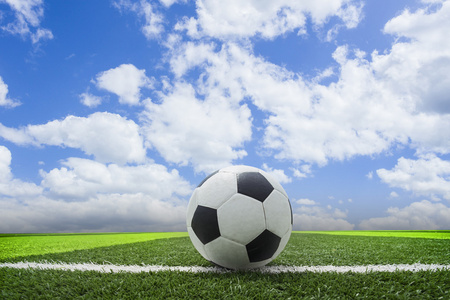 专业分析师使用体球网比分即时比分新版进行数据研究